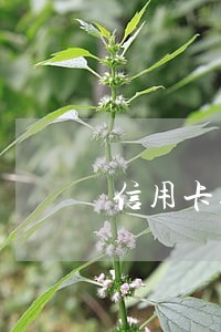 信用卡逾期被投诉还款后会撤诉吗