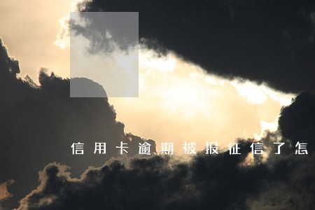 信用卡逾期被报征信了怎么办 信用卡逾期被报征信了怎么办