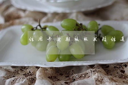 信用卡逾期被报案短信通知 信用卡逾期被报案短信通知
