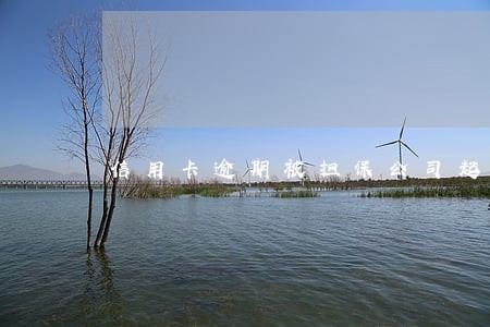 信用卡逾期被担保公司起诉 信用卡逾期被担保公司起诉