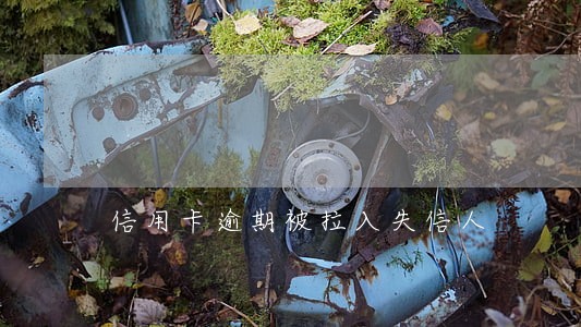 信用卡逾期被拉入失信人 信用卡逾期被拉入失信人