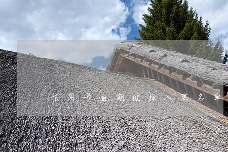 信用卡逾期被拉入黑名单后果 信用卡逾期被拉入黑名单后果