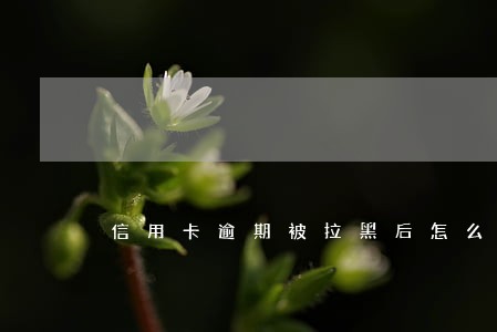 信用卡逾期被拉黑后怎么恢复 信用卡逾期被拉黑后怎么恢复