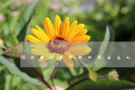 信用卡逾期被拉黑后怎么找回 信用卡逾期被拉黑后怎么找回