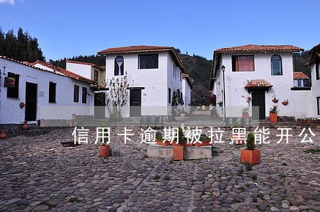 信用卡逾期被拉黑能开公司 信用卡逾期被拉黑能开公司