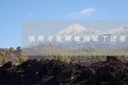 信用卡逾期被拘留了还要还吗 信用卡逾期被拘留了还要还吗