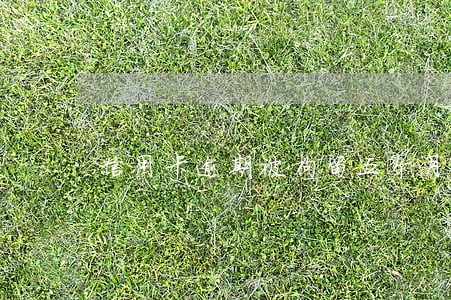 信用卡逾期被拘留五个月了 信用卡逾期被拘留五个月了
