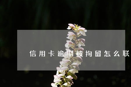 信用卡逾期被拘留怎么联系 信用卡逾期被拘留怎么联系