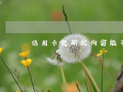 信用卡逾期被拘留能不能取保