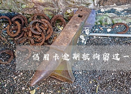 信用卡逾期被拘留过一次 信用卡逾期被拘留过一次