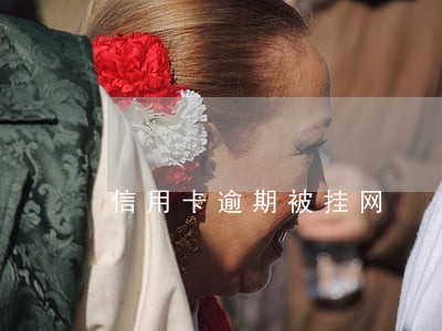 信用卡逾期被挂网 信用卡逾期被挂网