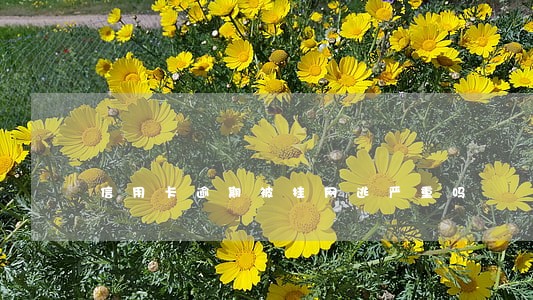 信用卡逾期被挂网逃严重吗 信用卡逾期被挂网逃严重吗
