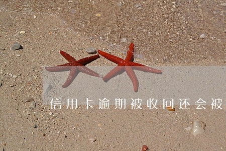 信用卡逾期被收回还会被开通吗 信用卡逾期被收回还会被开通吗