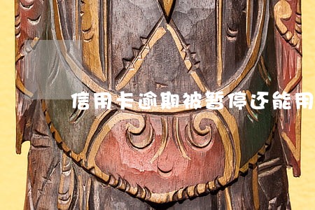 信用卡逾期被暂停还能用吗 信用卡逾期被暂停还能用吗