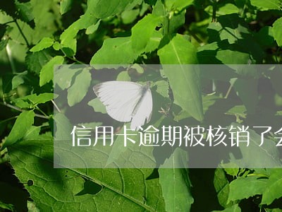 信用卡逾期被核销了会被起诉吗 信用卡逾期被核销了会被起诉吗