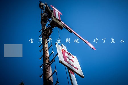 信用卡逾期被止付了怎么解除 信用卡逾期被止付了怎么解除