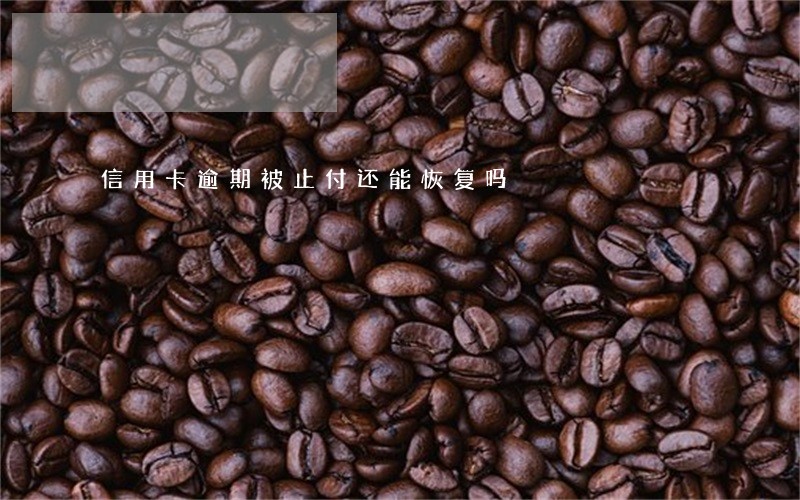 信用卡逾期被止付还能恢复吗 信用卡逾期被止付还能恢复吗