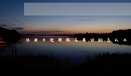 信用卡逾期被民事诉讼怎么办 信用卡逾期被民事诉讼怎么办
