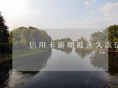 信用卡逾期被永久冻结怎么办上海 信用卡逾期被永久冻结怎么办上海