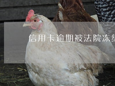 信用卡逾期被法院冻结如何解冻 信用卡逾期被法院冻结如何解冻