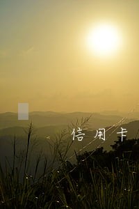 信用卡逾期被法院执行了怎么办 信用卡逾期被法院执行了怎么办