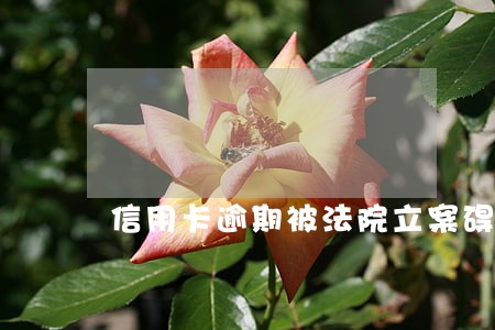 信用卡逾期被法院立案碍事吗 信用卡逾期被法院立案碍事吗