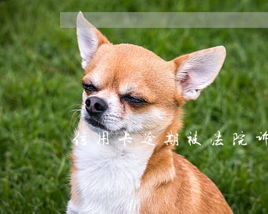 信用卡逾期被法院诉讼会怎样 信用卡逾期被法院诉讼会怎样