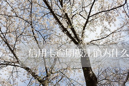 信用卡逾期被注销为什么还能查到 信用卡逾期被注销为什么还能查到
