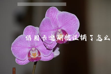 信用卡逾期被注销了怎么回事 信用卡逾期被注销了怎么回事