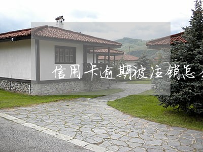 信用卡逾期被注销怎么办钱怎么还