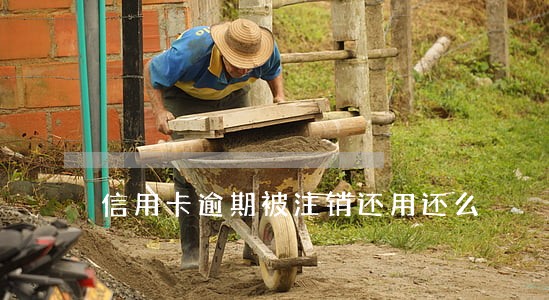 信用卡逾期被注销还用还么