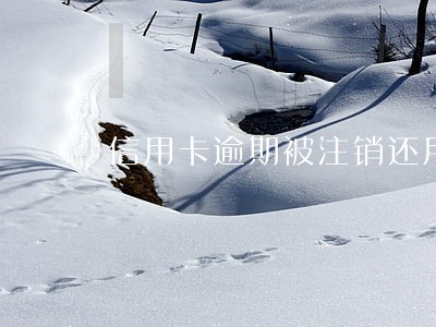 信用卡逾期被注销还用还吗 信用卡逾期被注销还用还吗