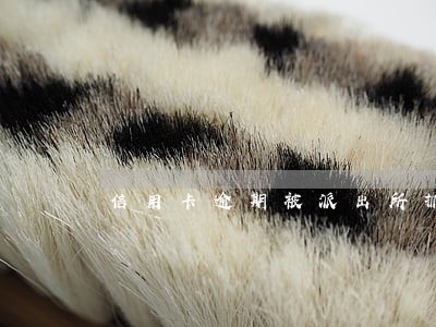 信用卡逾期被派出所抓了
