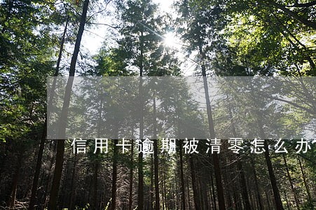 信用卡逾期被清零怎么办