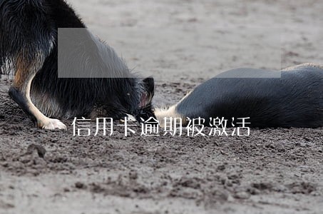信用卡逾期被激活 信用卡逾期被激活