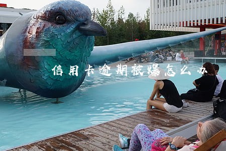 信用卡逾期被爆怎么办 信用卡逾期被爆怎么办