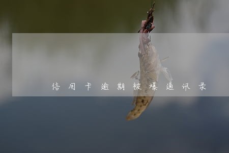 信用卡逾期被爆通讯录 信用卡逾期被爆通讯录