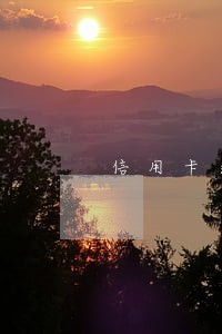 信用卡逾期被申请审理