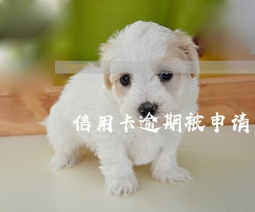 信用卡逾期被申请支付令怎么办 信用卡逾期被申请支付令怎么办