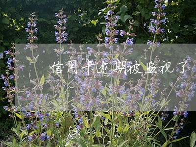 信用卡逾期被监视了