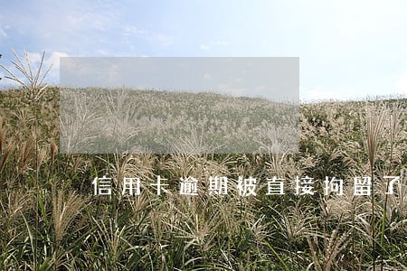 信用卡逾期被直接拘留了