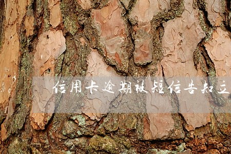信用卡逾期被短信告知立案了 信用卡逾期被短信告知立案了