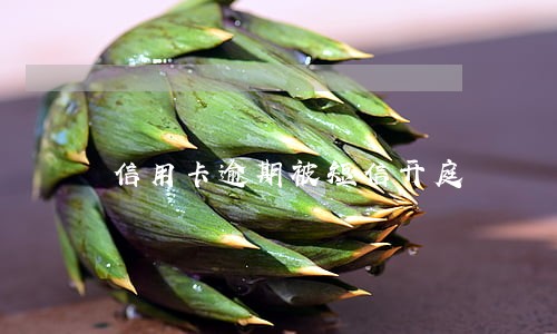 信用卡逾期被短信开庭 信用卡逾期被短信开庭