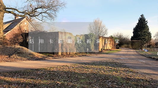 信用卡逾期被祈求后果 信用卡逾期被祈求后果