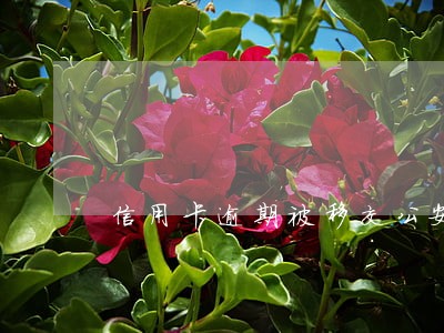 信用卡逾期被移交公安局会这样 信用卡逾期被移交公安局会这样
