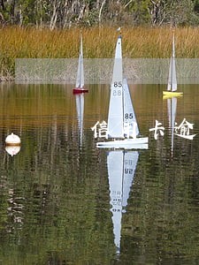 信用卡逾期被立案后会坐牢吗