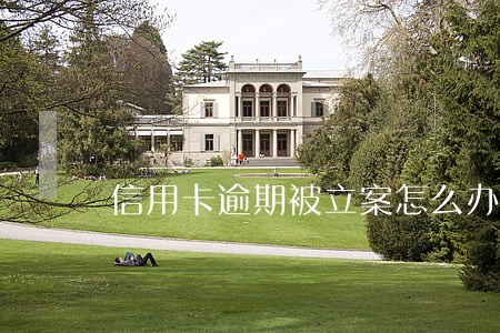 信用卡逾期被立案怎么办 信用卡逾期被立案怎么办