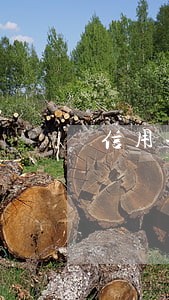 信用卡逾期被立案所有家属 信用卡逾期被立案所有家属