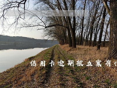 信用卡逾期被立案有什么影响 信用卡逾期被立案有什么影响