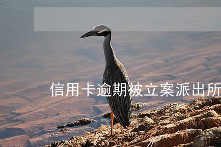 信用卡逾期被立案派出所打电话 信用卡逾期被立案派出所打电话